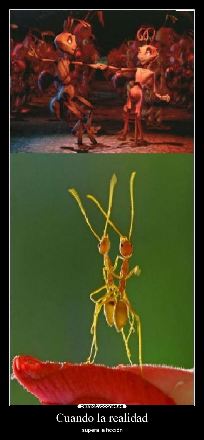 Cuando la realidad - 