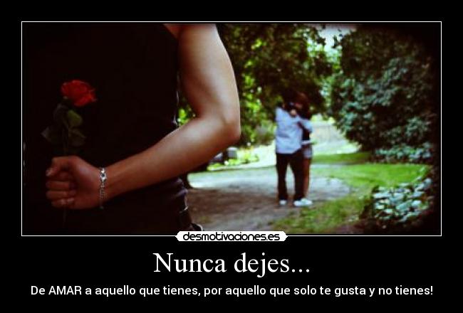 Nunca dejes... -