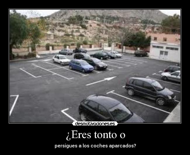 ¿Eres tonto o - persigues a los coches aparcados?