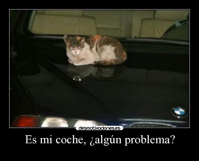 Es mi coche, ¿algún problema? - 