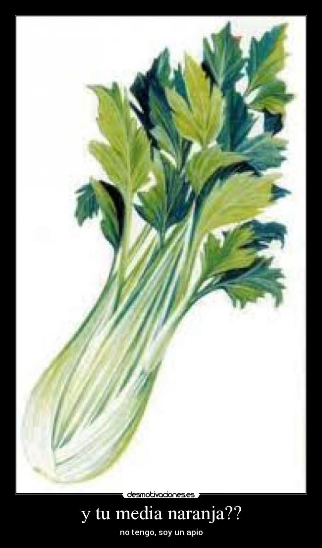 y tu media naranja?? - 