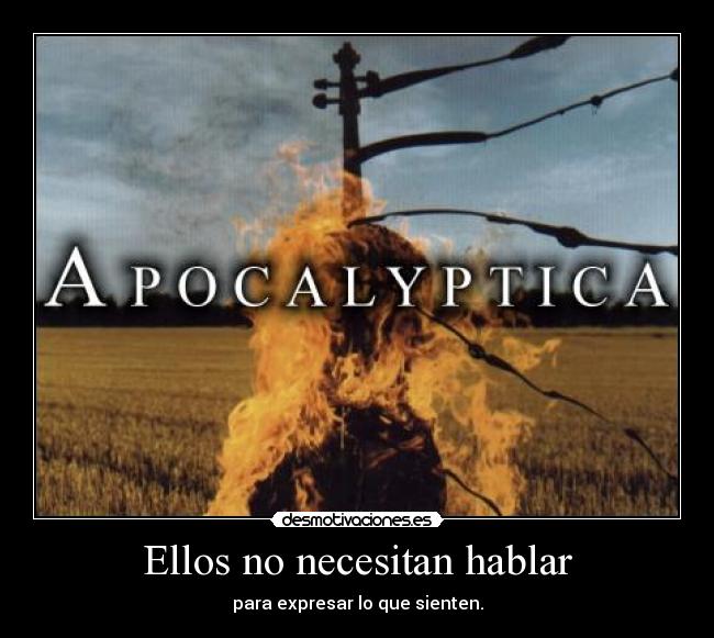 Ellos no necesitan hablar - para expresar lo que sienten.
