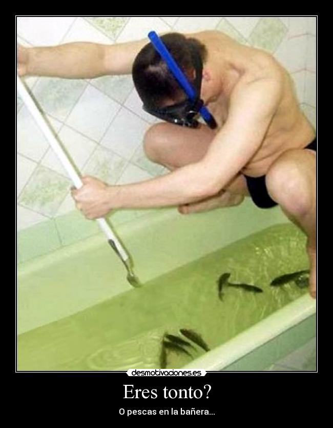 Eres tonto? - O pescas en la bañera...