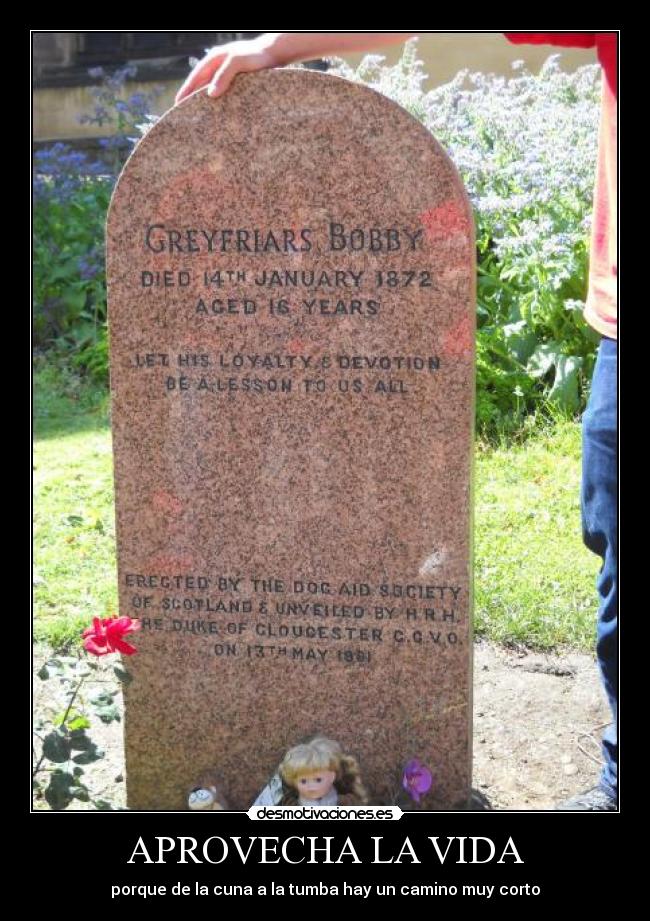 carteles vida muerte desmotivaciones