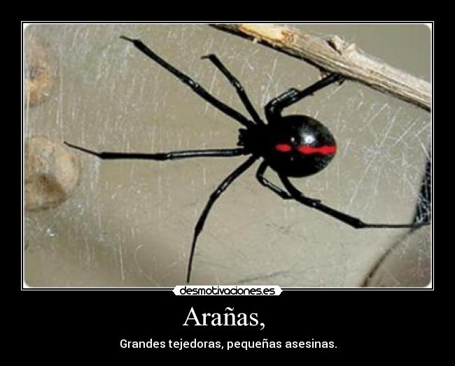 carteles anabreak1 desmotivaciones