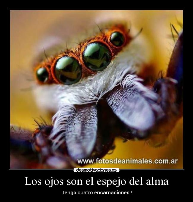 Los ojos son el espejo del alma - Tengo cuatro encarnaciones!!