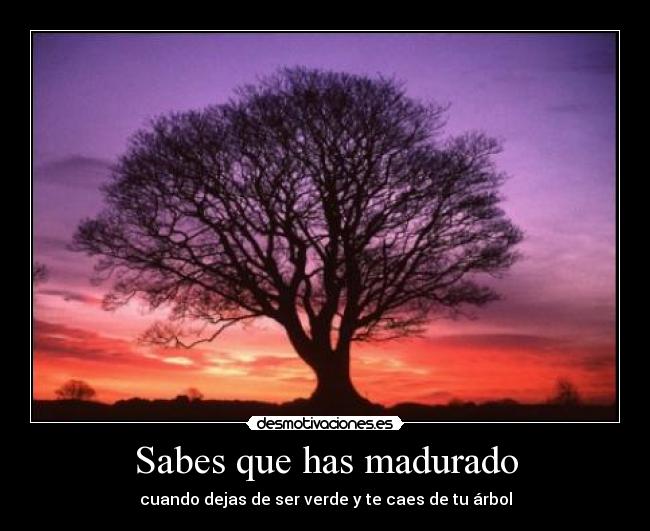 Sabes que has madurado - cuando dejas de ser verde y te caes de tu árbol