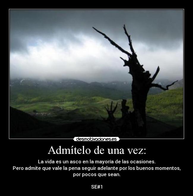 Admítelo de una vez: -