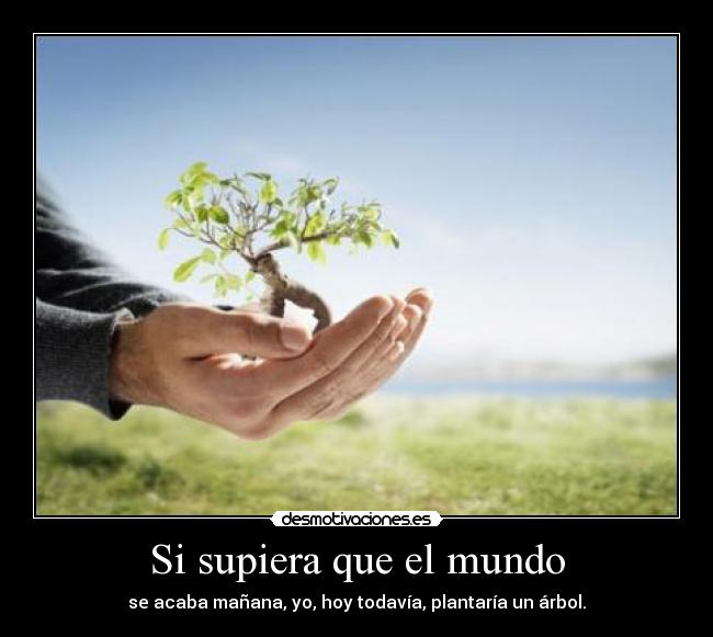 Si supiera que el mundo - se acaba mañana, yo, hoy todavía, plantaría un árbol.