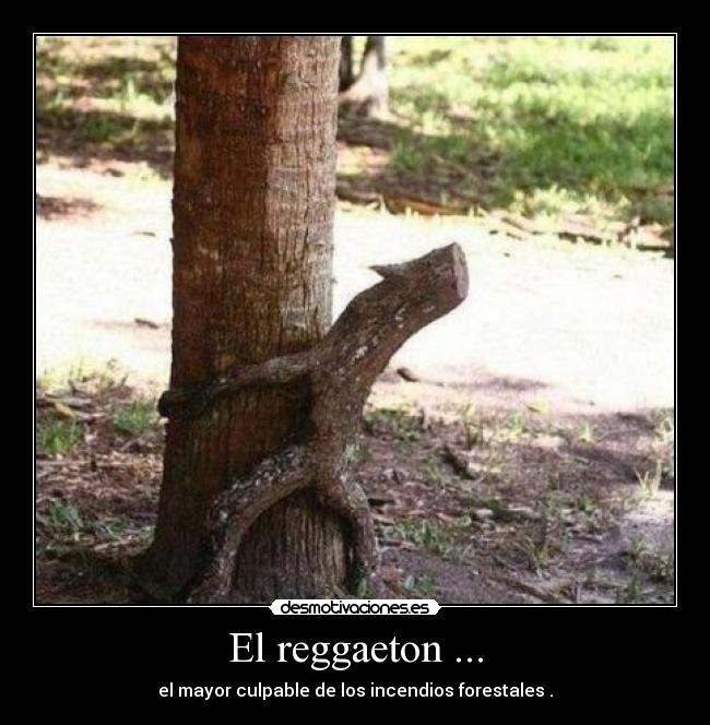 El reggaeton ... - el mayor culpable de los incendios forestales .