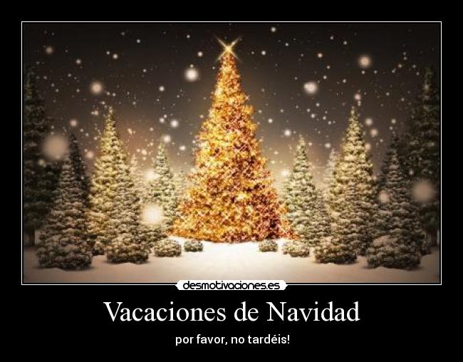 Vacaciones de Navidad - por favor, no tardéis!