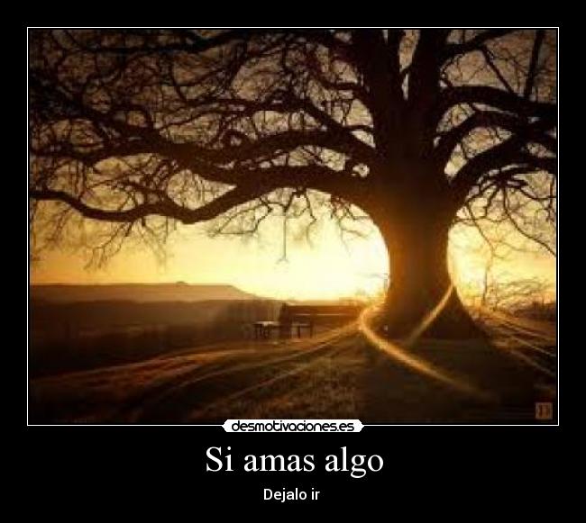 Si amas algo - Dejalo ir 