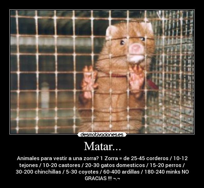Matar... -