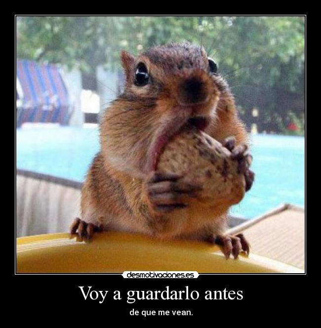 Voy a guardarlo antes - de que me vean.