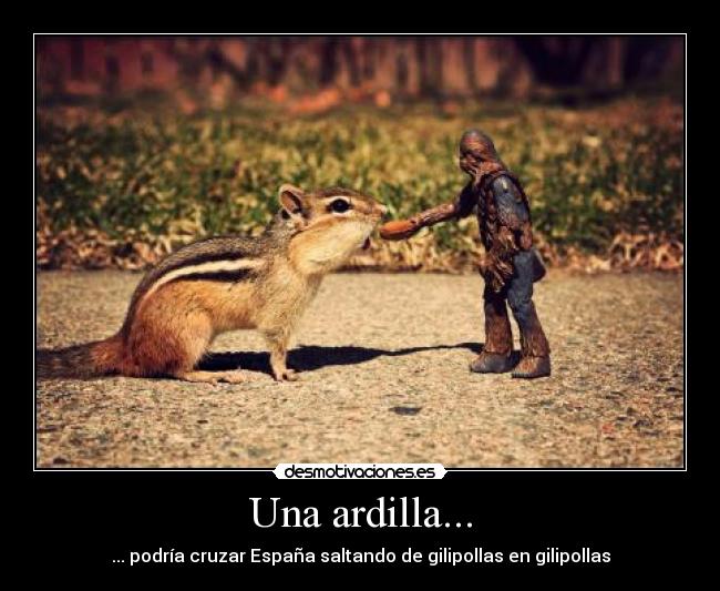 Una ardilla... - 