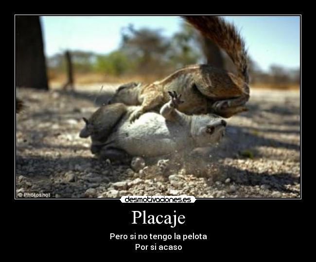 Placaje - 