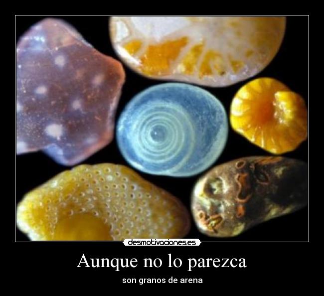 Aunque no lo parezca - son granos de arena