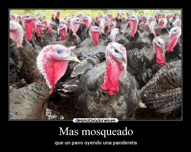 Mas mosqueado - que un pavo oyendo una pandereta