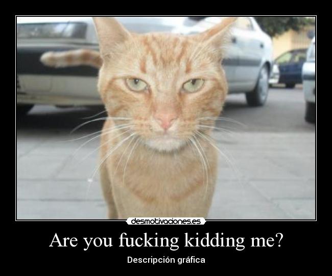 Are you fucking kidding me? -