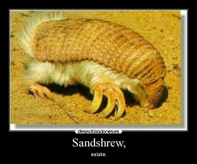 Sandshrew, - 
