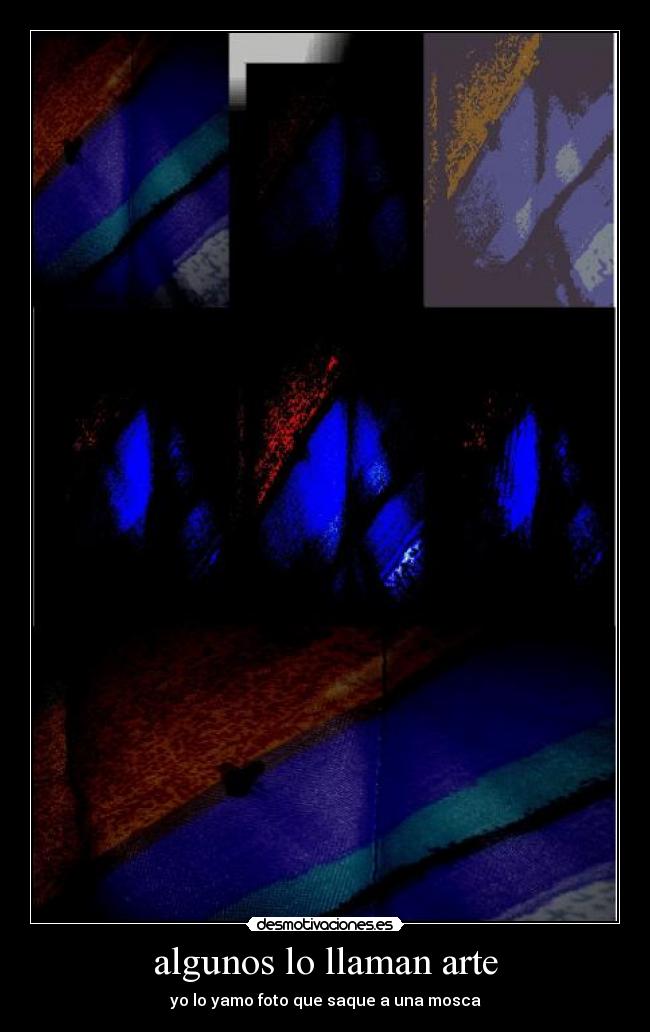 algunos lo llaman arte - yo lo yamo foto que saque a una mosca