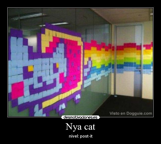 Nya cat -