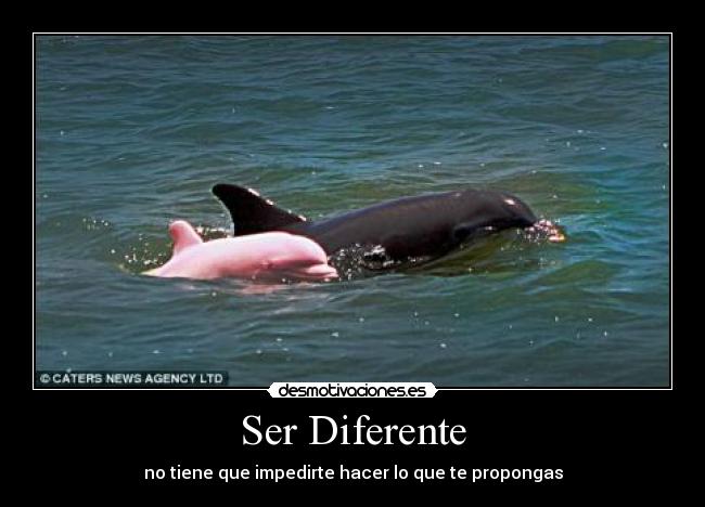 Ser Diferente - no tiene que impedirte hacer lo que te propongas
