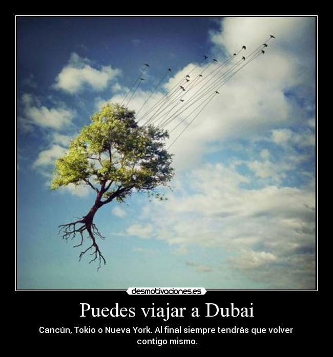 Puedes viajar a Dubai -