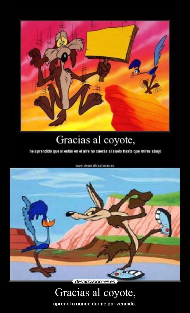 Gracias al coyote, - 