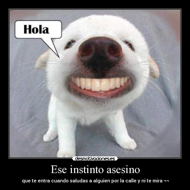 Ese instinto asesino - que te entra cuando saludas a alguien por la calle y ni te mira ¬¬