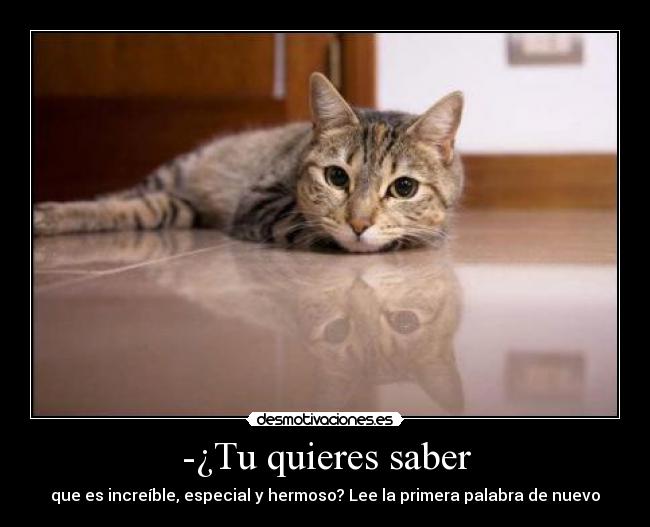 -¿Tu quieres saber - que es increíble, especial y hermoso? Lee la primera palabra de nuevo