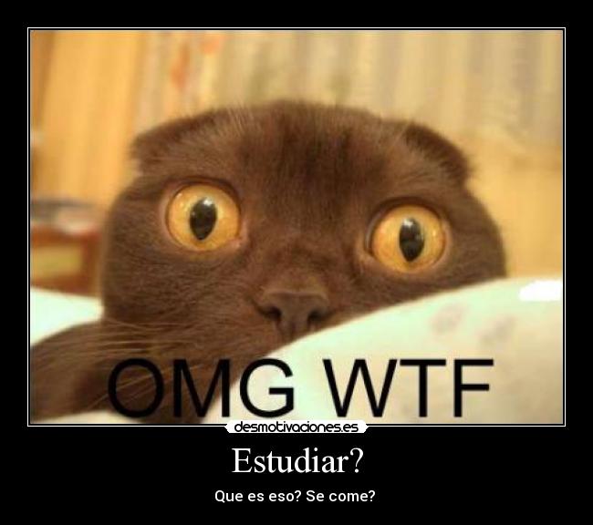 Estudiar? - Que es eso? Se come? 