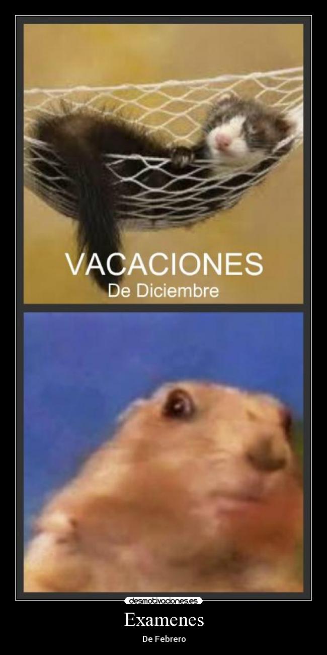 carteles examenes colegio desmotivaciones