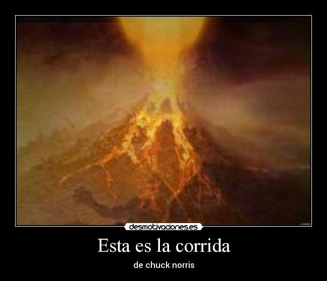 Esta es la corrida - de chuck norris