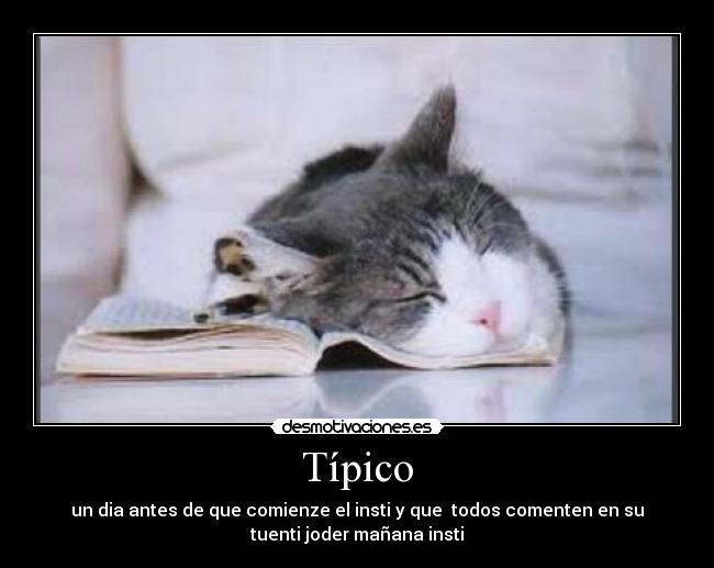 Típico - 