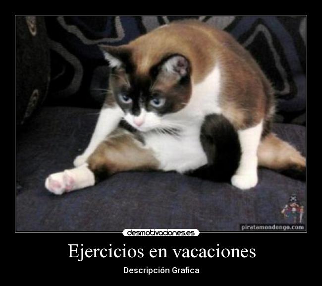 Ejercicios en vacaciones -