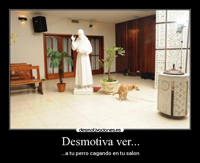 Desmotiva ver... - ...a tu perro cagando en tu salon