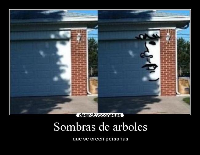 Sombras de arboles -