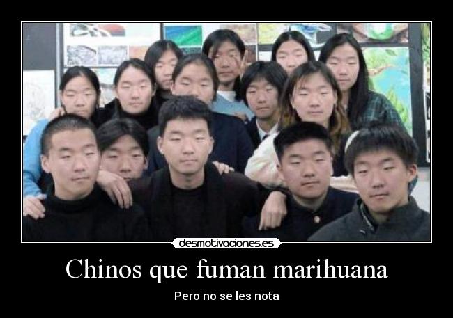 Chinos que fuman marihuana -