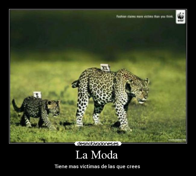 La Moda - Tiene mas víctimas de las que crees