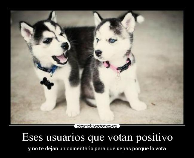 Eses usuarios que votan positivo - y no te dejan un comentario para que sepas porque lo vota