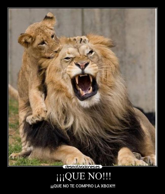 ¡¡¡QUE NO!!! -