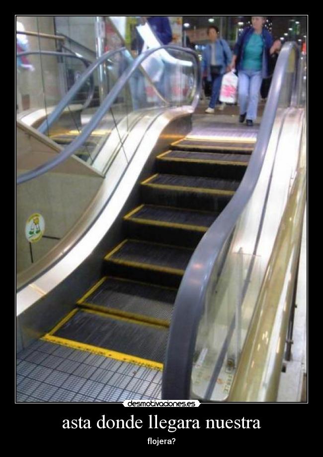 asta donde llegara nuestra - flojera?