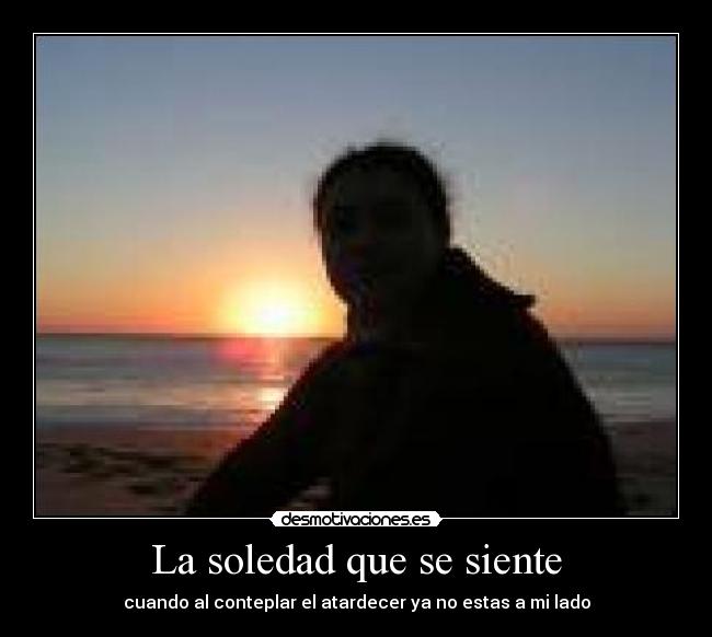 carteles soledad soledad desmotivaciones