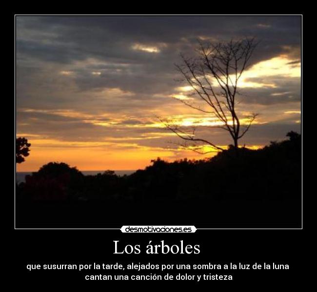 Los árboles - que susurran por la tarde, alejados por una sombra a la luz de la luna
cantan una canción de dolor y tristeza