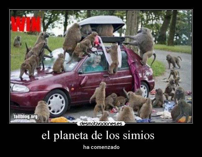 carteles mola desmotivaciones