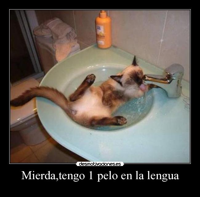 Mierda,tengo 1 pelo en la lengua -