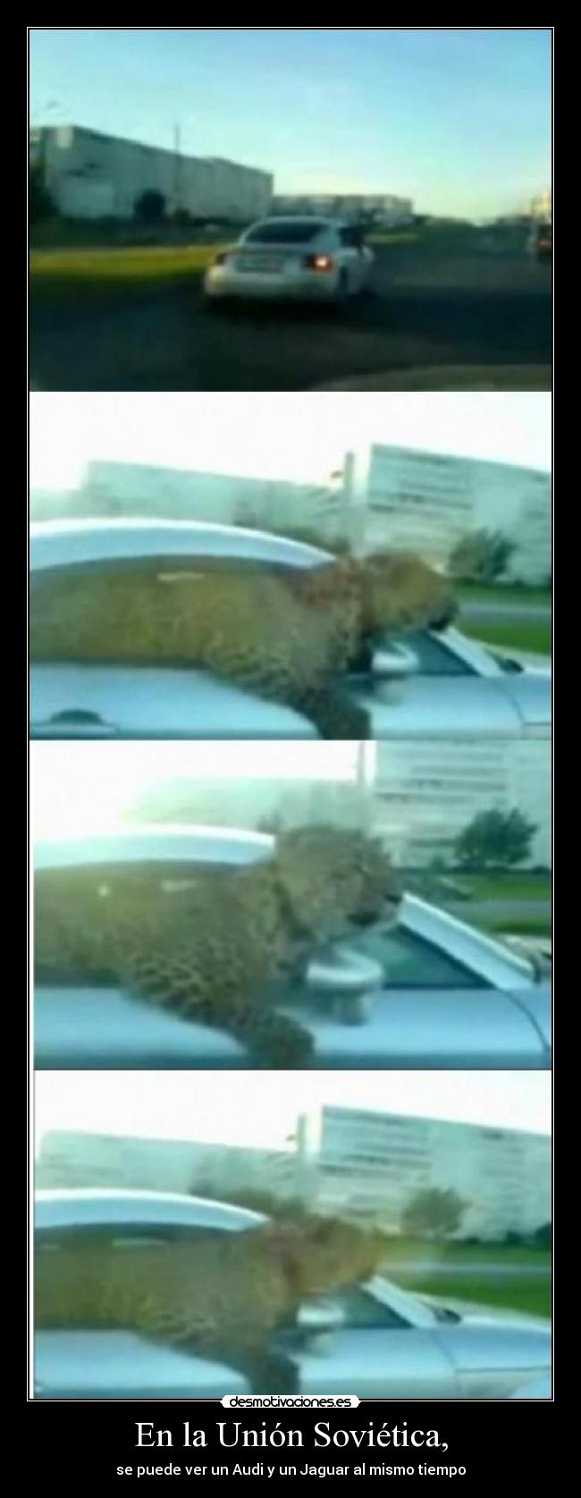 En la Unión Soviética, -