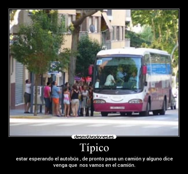 Típico -