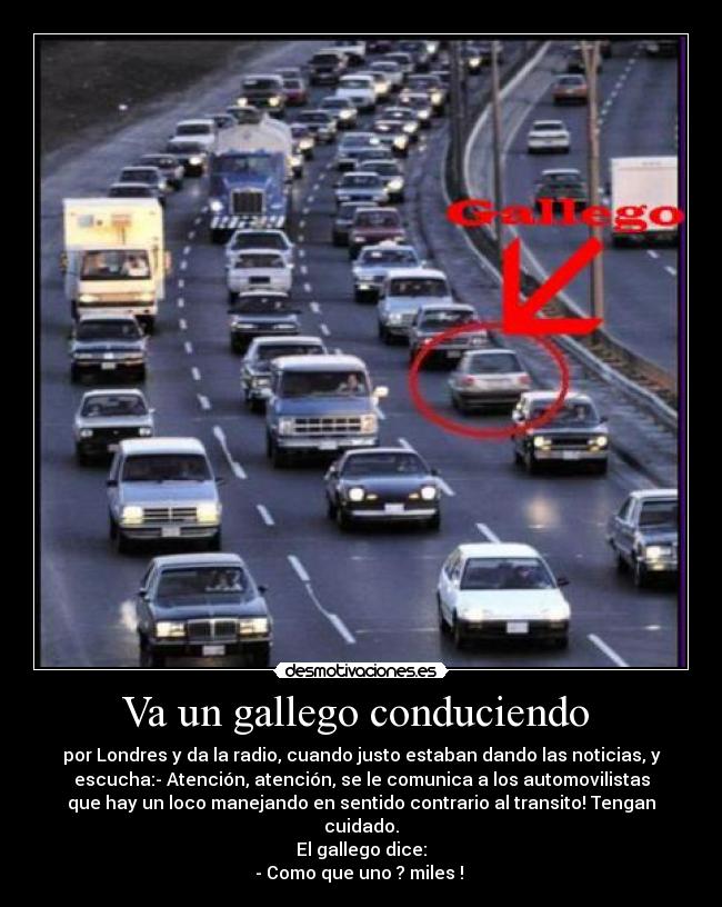 Va un gallego conduciendo -
